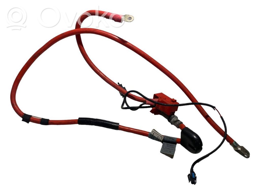 Plusa vads (akumulatora)