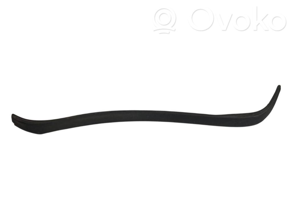 Aizmugurē durvju dekoratīvā apdare (moldings)