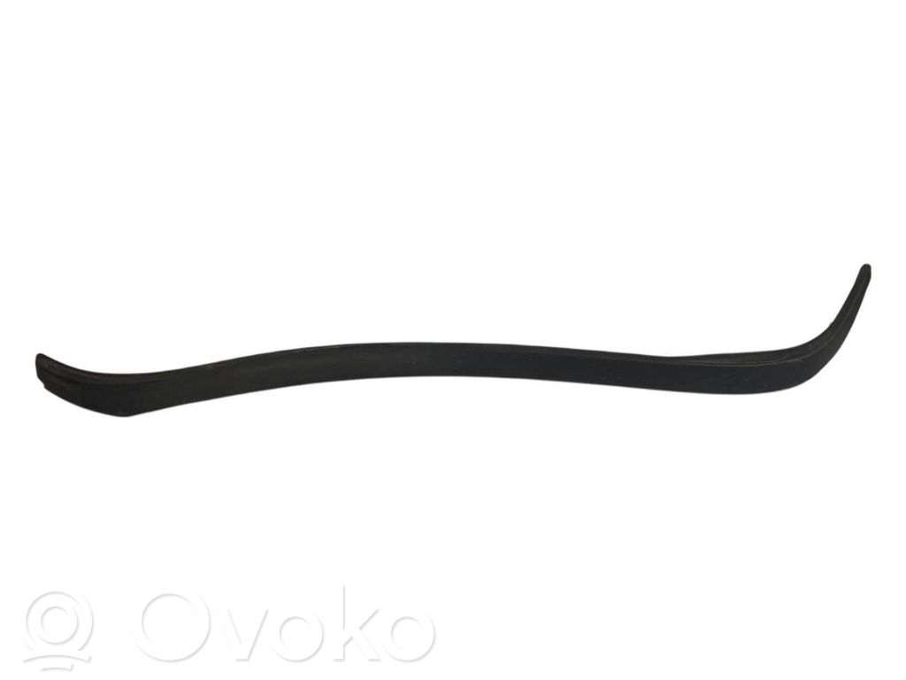 Aizmugurē durvju dekoratīvā apdare (moldings)