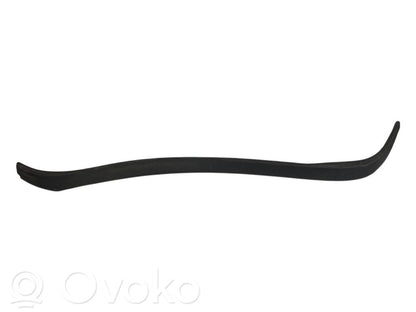 Aizmugurē durvju dekoratīvā apdare (moldings)