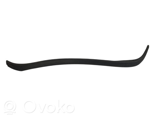 Aizmugurē durvju dekoratīvā apdare (moldings)