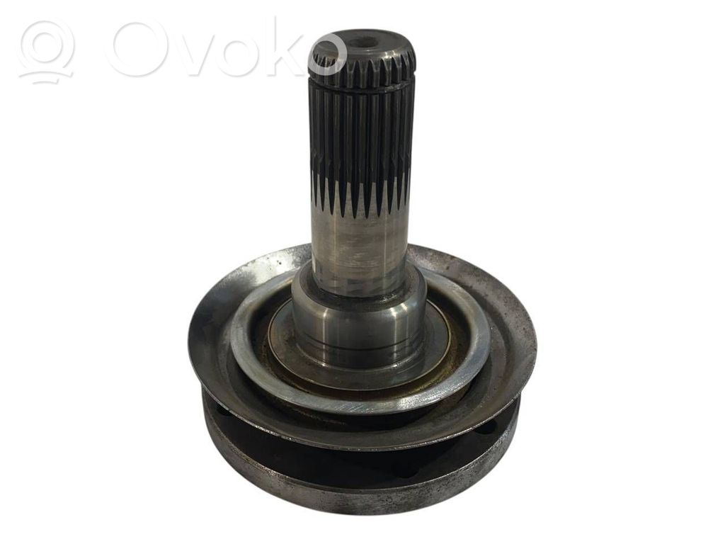 Aizmugurējā pusass