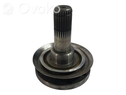 Aizmugurējā pusass