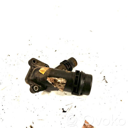 Caurulīte (-es) / šļūtene (-es)