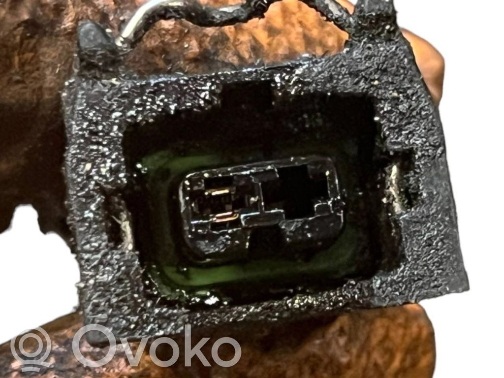 Engine wiring harness