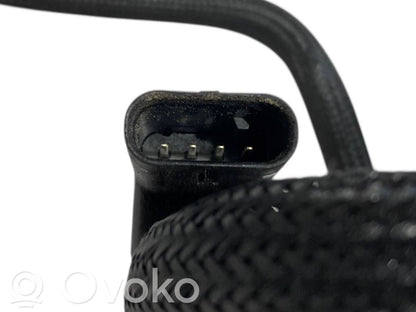 Caurule (-es) / šļūtene (-es)