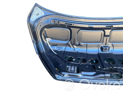 Aizmugurējais pārsegs (bagāžnieks)