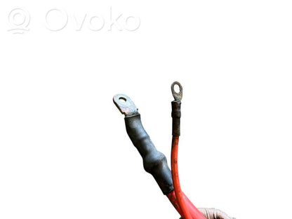 Plusa vads (akumulatora)