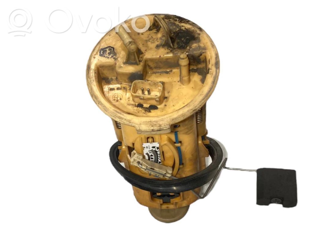 Fuel pump (in the fuel tank)