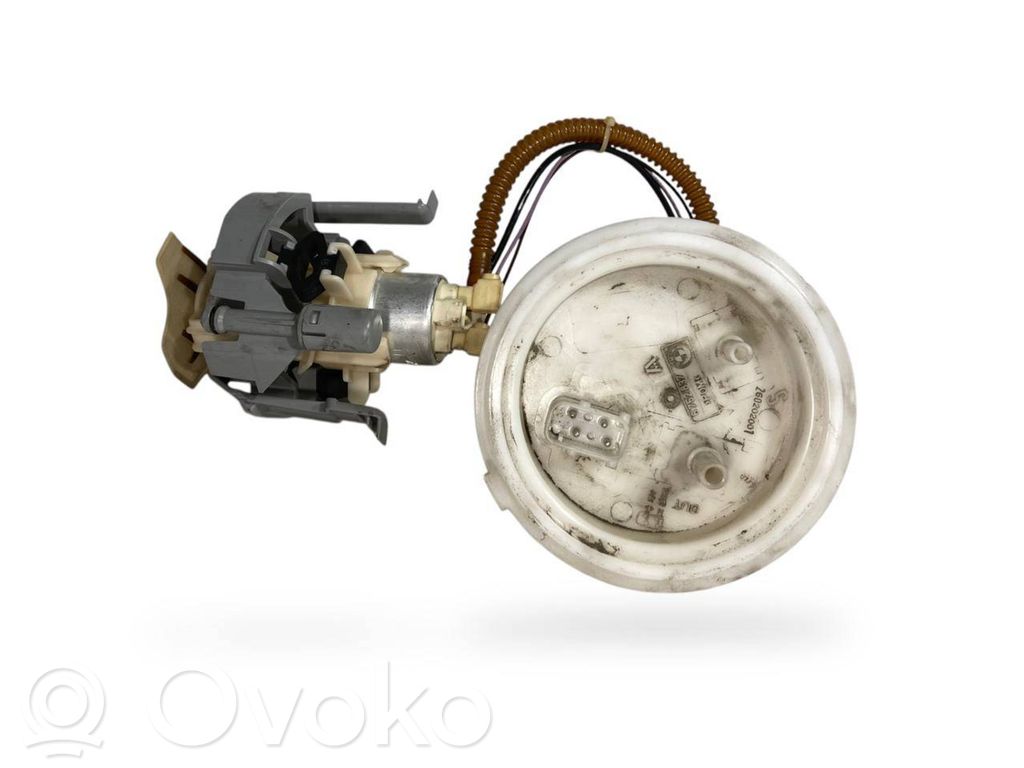 Fuel pump (in the fuel tank)