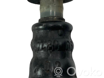 Degvielas caurulīte (-es)