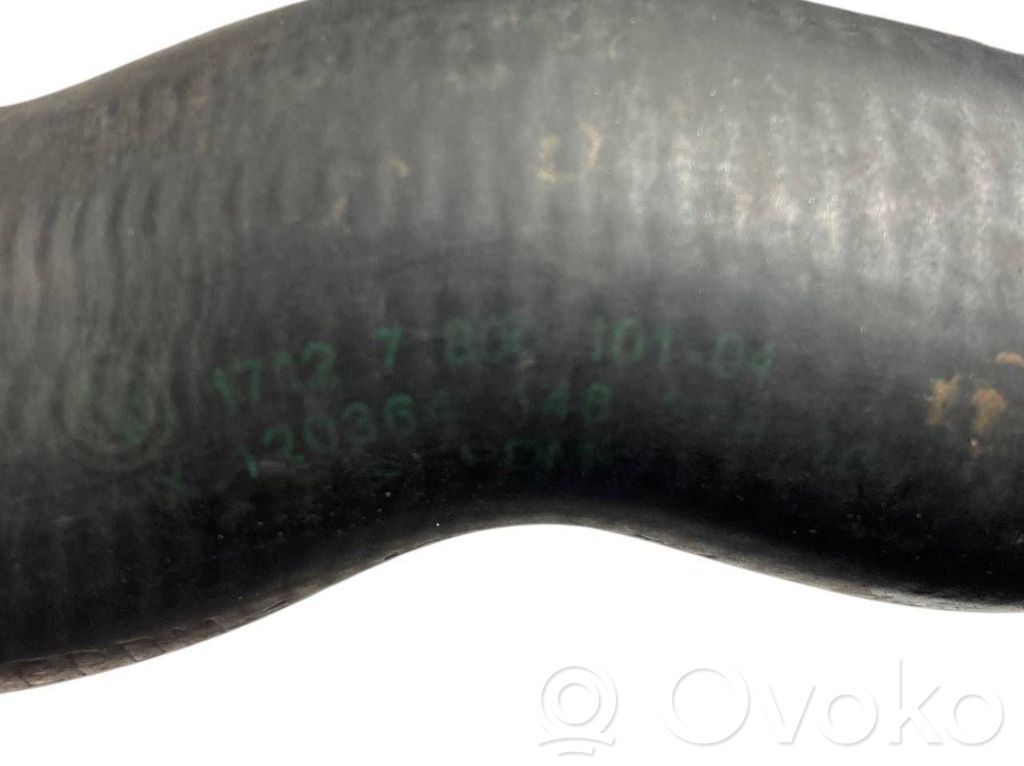 Caurulīte (-es) / šļūtene (-es)