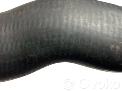 Caurulīte (-es) / šļūtene (-es)