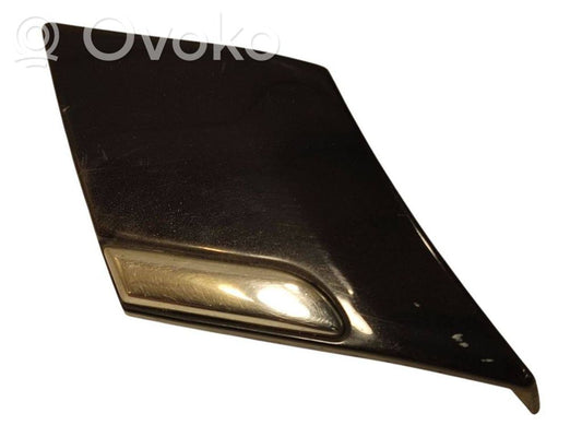 Aizmugurējā spārna uzlika / moldings