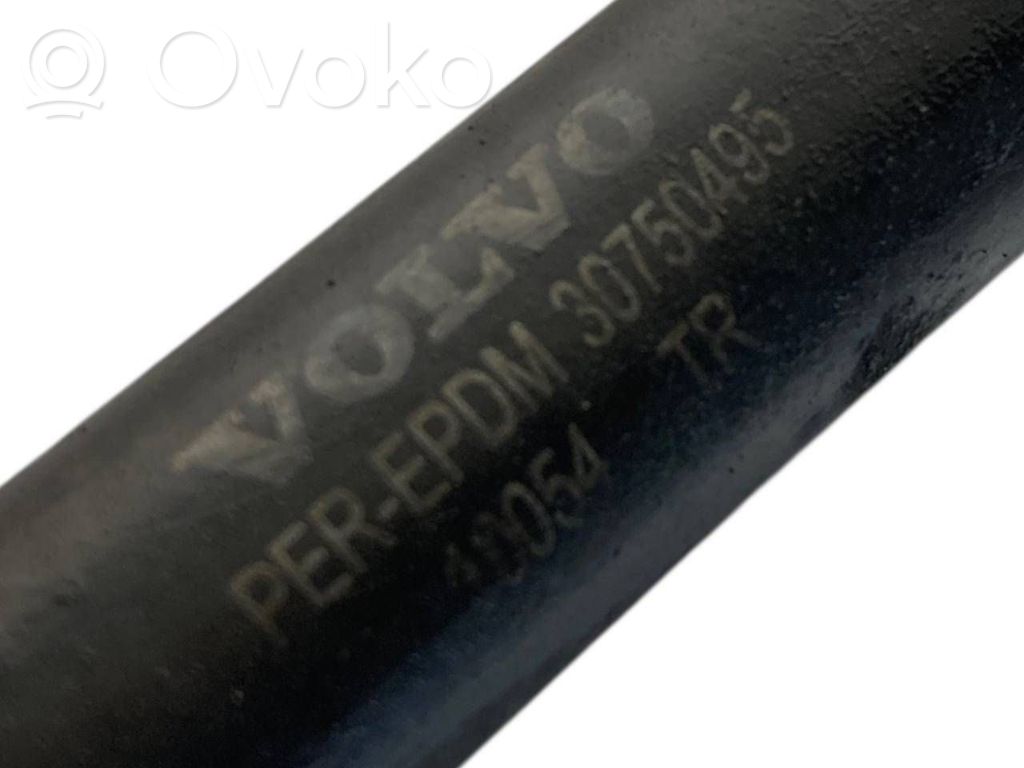 Caurulīte (-es) / šļūtene (-es)