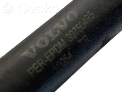 Caurulīte (-es) / šļūtene (-es)