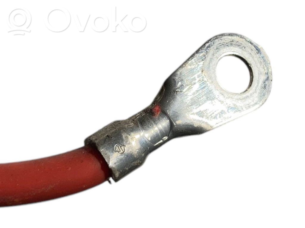 Plusa vads (akumulatora)