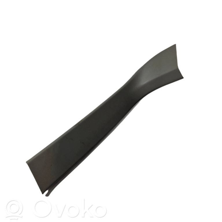 Cita veida bagāžnieka dekoratīvās apdares detaļa