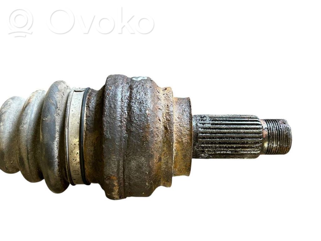 Aizmugurējā pusass