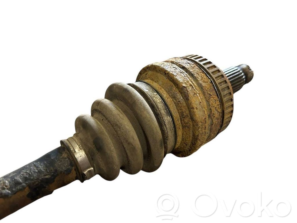 Aizmugurējā pusass