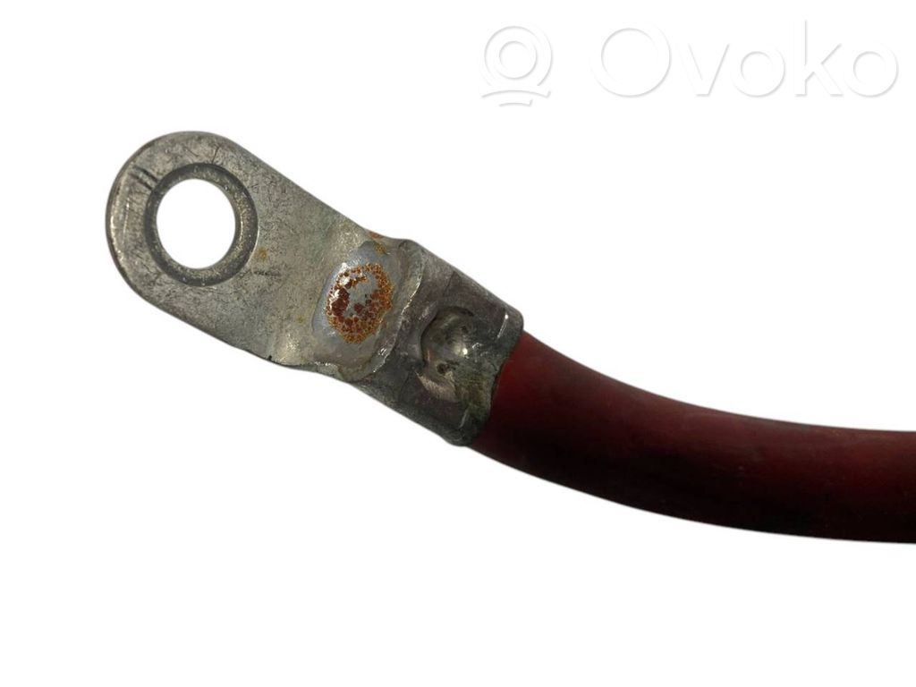 Plusa vads (akumulatora)