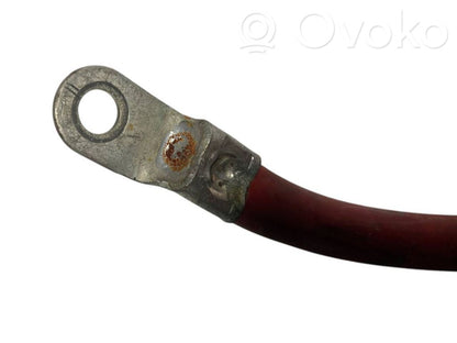 Plusa vads (akumulatora)