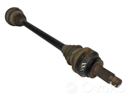 Aizmugurējā pusass