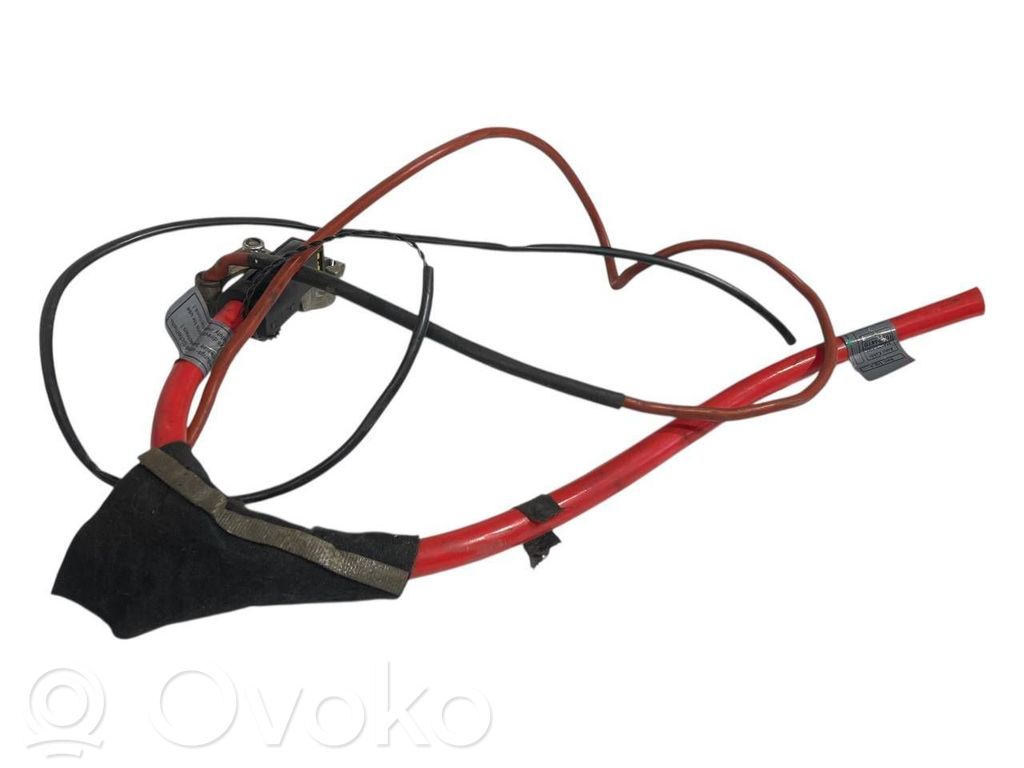 Plusa vads (akumulatora)