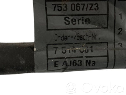Engine wiring harness