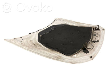 Dzinēja pārsegs (vāks)