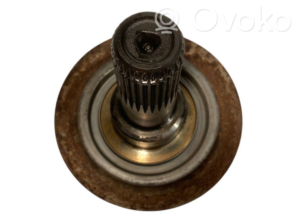 Kardānvārpsta / pusas pagarinājums