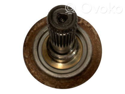 Kardānvārpsta / pusas pagarinājums