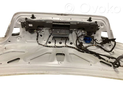 Aizmugurējais pārsegs (bagāžnieks)