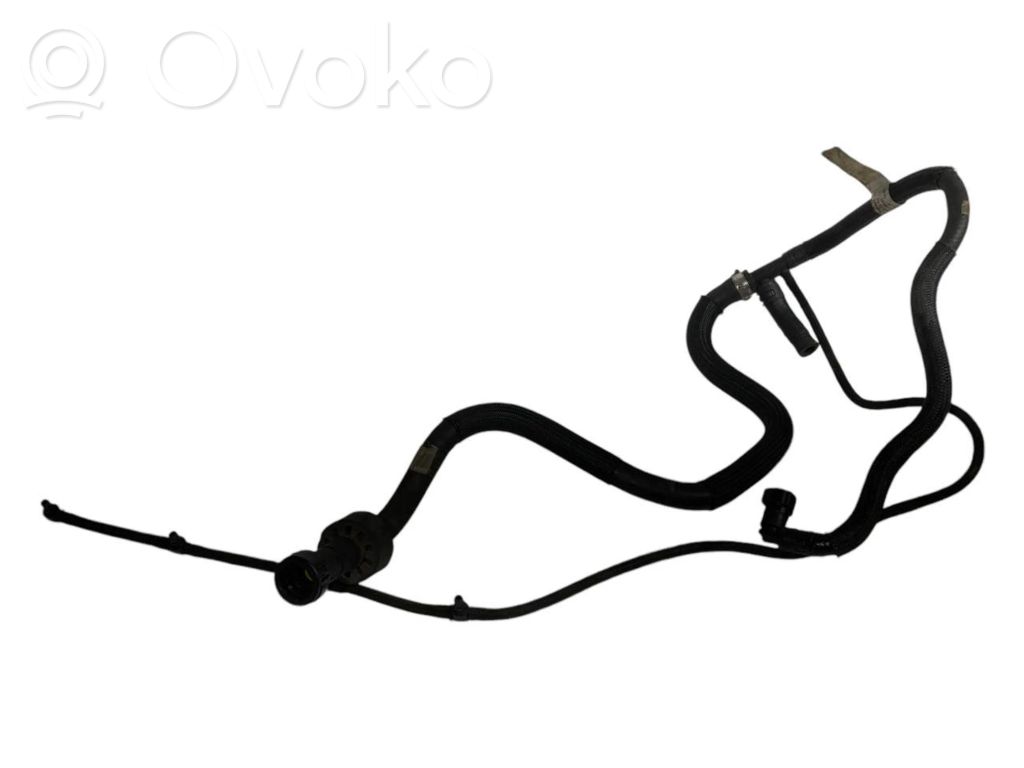 Caurule (-es) / šļūtene (-es)