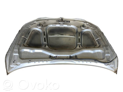 Dzinēja pārsegs (vāks)