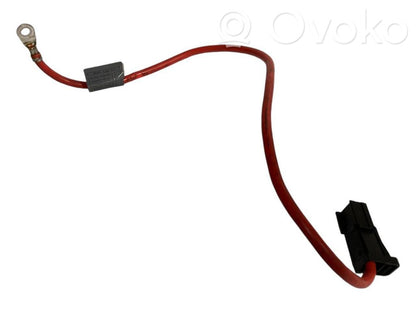 Plusa vads (akumulatora)