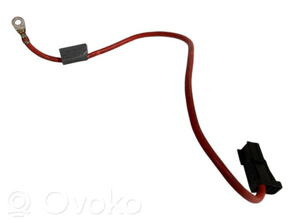 Plusa vads (akumulatora)