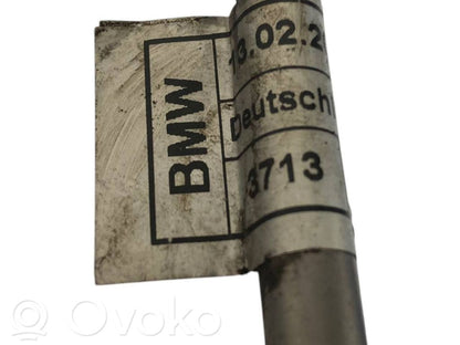 Stūres pastiprinātāja šļūtene (-es) / caurulīte (-es)