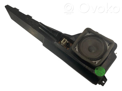 Speaker(s) in front door