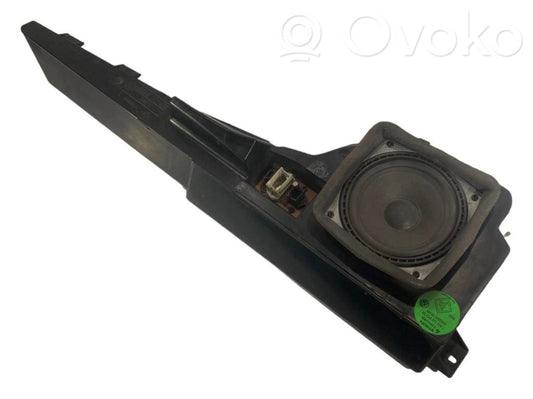 Speaker(s) in front door