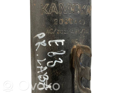 Front shock absorber with spring