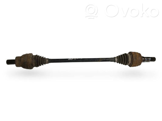 Aizmugurējā pusass
