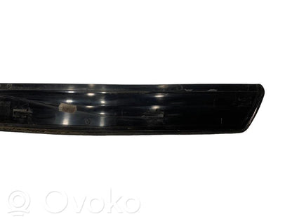 Rear door sill trim (inner)