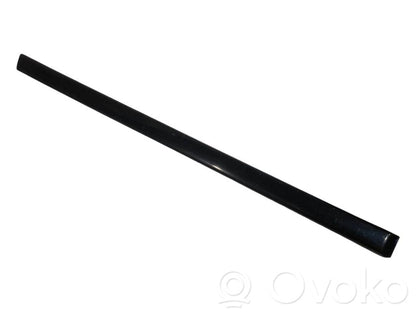 Aizmugurē durvju dekoratīvā apdare (moldings)