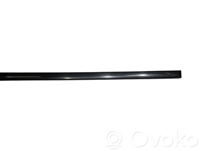 Front door decorative trim (molding)