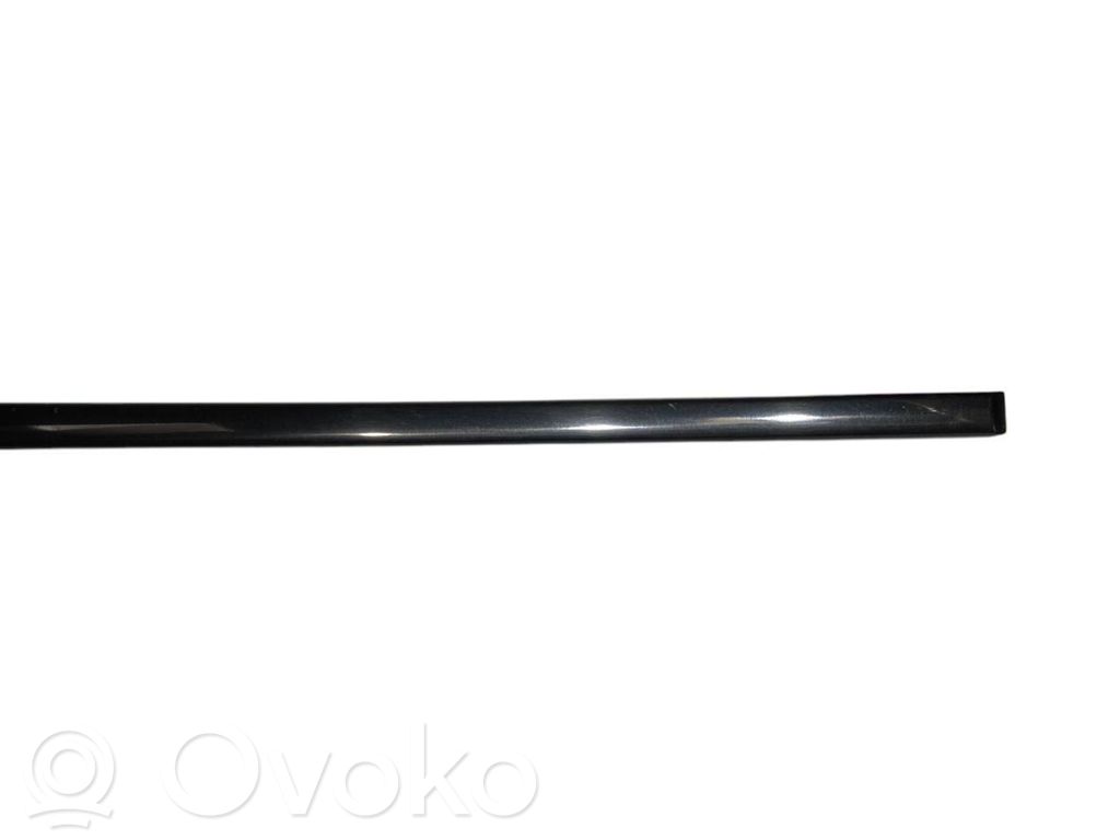 Front door decorative trim (molding)