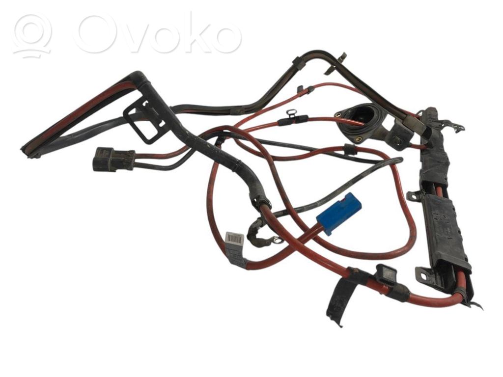 Plusa vads (akumulatora)