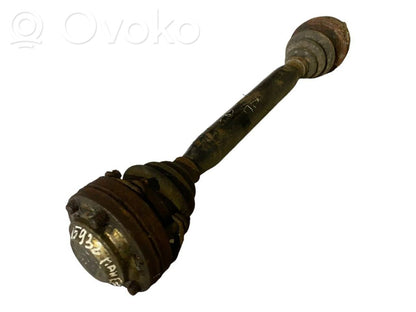 Aizmugurējā pusass