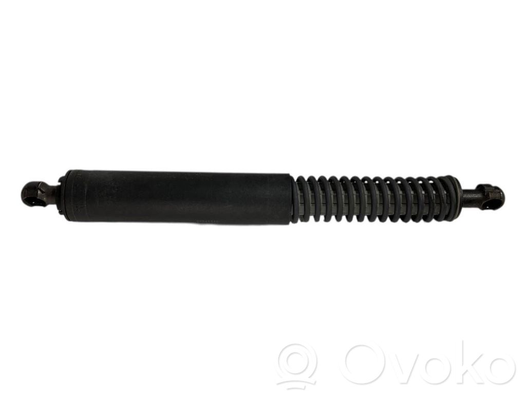 Bagāžnieka amortizators