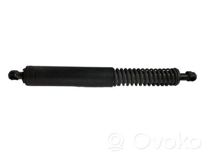 Bagāžnieka amortizators